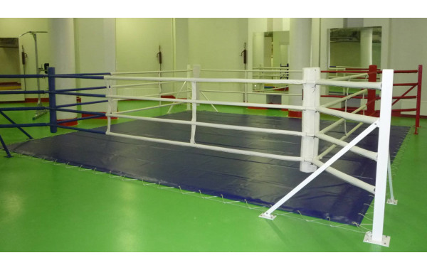 Ринг боксерский напольный Totalbox на упорах размер по канатам 5×5 м РНУ 5 600_380