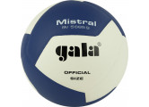 Мяч волейбольный Gala Mistral 12 BV5665S р. 5