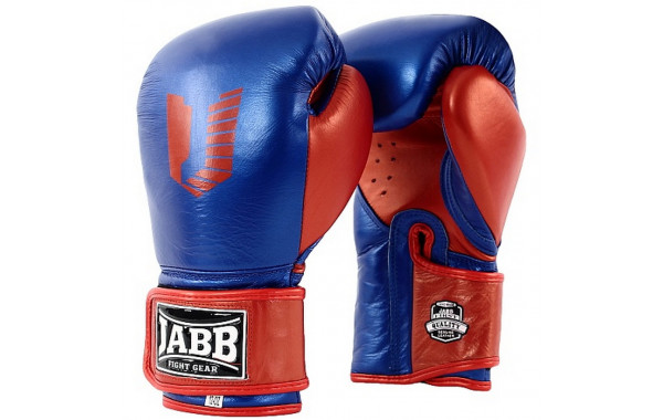 Боксерские перчатки Jabb JE-4069/Eu Fight синий/красный 8oz 600_380