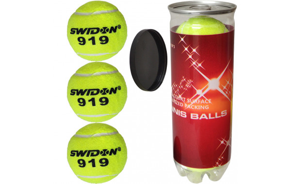 Мячи для большого тенниса Swidon 919 3 штуки (в тубе) E29379 600_380