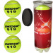 Мячи для большого тенниса Swidon 919 3 штуки (в тубе) E29379 75_75