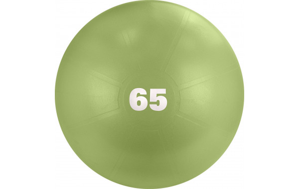 Мяч гимнастический d65 см Torres с насосом AL122165MT оливковый 600_380