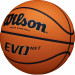 Мяч баскетбольный Wilson Evo Nxt WTB0965XB р.7 75_75