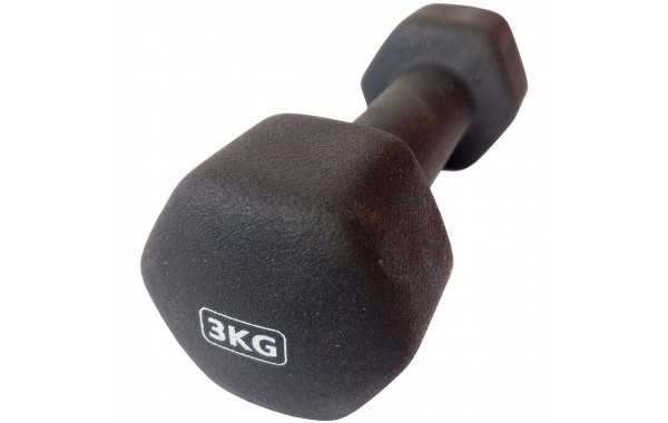 Гантель неопреновая 3,0 кг (черная) Sportex HKDB118-3.0 600_380