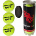 Мячи для большого тенниса Swidon 805 3 штуки (в тубе) E29378 75_75
