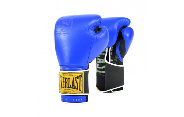Боксерские перчатки Everlast 1910 Classic 12oz синий P00001714 600_380