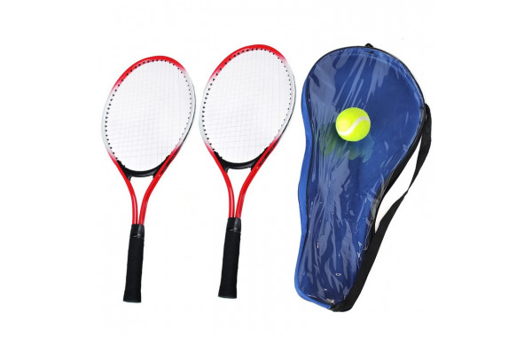 Набор для большого тенниса Sportex Мини E33484 (2 ракетки, чехол+мяч) 600_380
