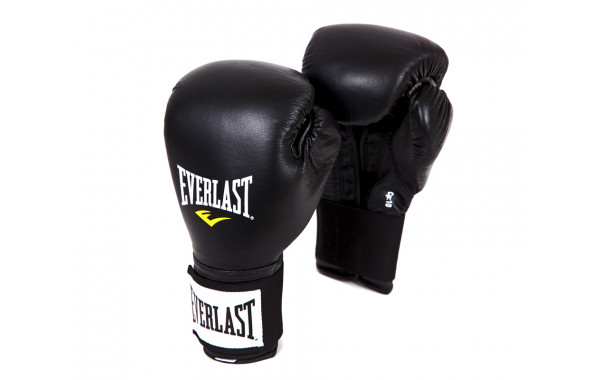 Перчатки тренировочные Everlast 141001U черный, 10 oz 600_380