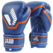 Боксерские перчатки Jabb JE-2015/Basic 25 синий 8oz 75_75