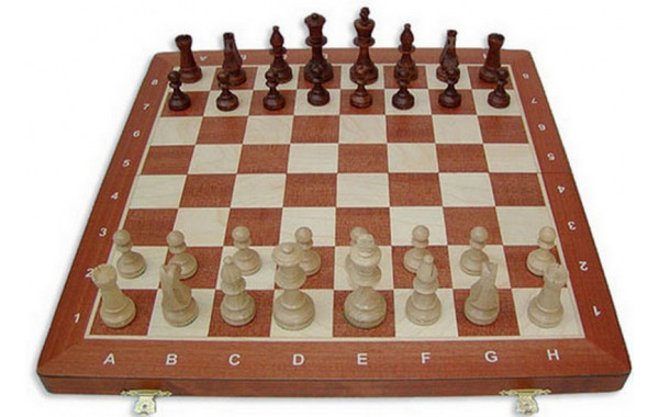 Шахматы Madon Торнамент-5 3023 600_380