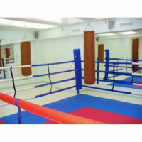 Ринг боксерский на растяжках Atlet 6х6 м, боевая зона 5х5 м, монтажная площадка 9х9 м IMP-A427