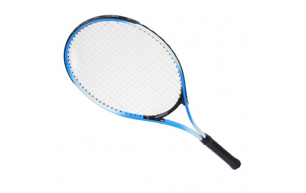 Ракетка для большого тенниса Sportex Любительская (в чехле) E41084 600_380