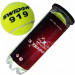 Мячи для большого тенниса Swidon 919 3 штуки (в тубе) E29379 75_75