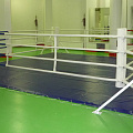Ринг боксерский напольный Totalbox на упорах размер по канатам 5×5 м РНУ 5 120_120