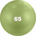 Мяч гимнастический d65 см Torres с насосом AL122165MT оливковый 120_120