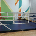 Ринг боксерский напольный Totalbox на балке размер по канатам 4×4 м РНБ 4 120_120