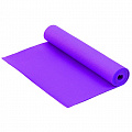 Коврик для фитнеса и йоги Larsen PVC фиолетовый р173х61х0,6см (повыш плотн) 120_120